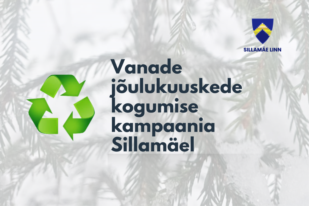 Jõulukuuskede kogumise kampaania Sillamäel 2026_EST.png