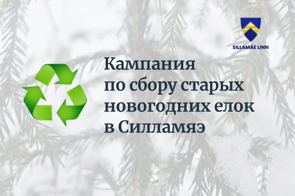 Jõulukuuskede kogumise kampaania Sillamäel 2026_RUS.png