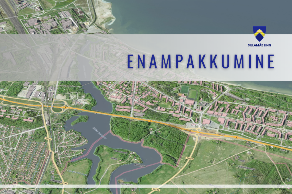 Enampakkumine (1440 x 960 px).png