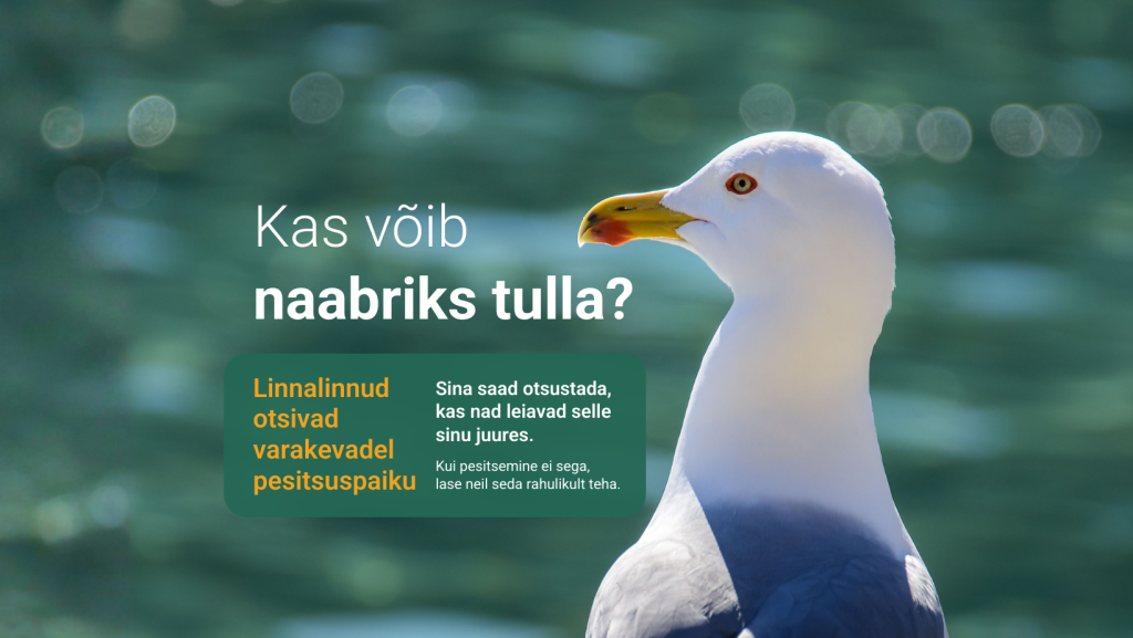Linnalindude pesitsushooaeg.png